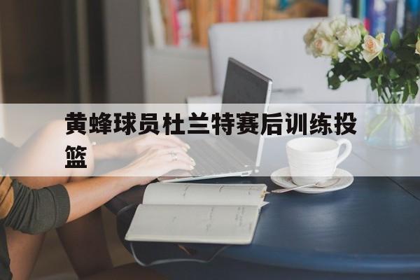 游戏平台-黄蜂球员杜兰特赛后训练投篮